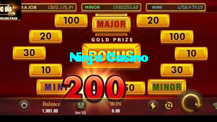 available types of Ninja Casino bet including pre-match live express and system bets